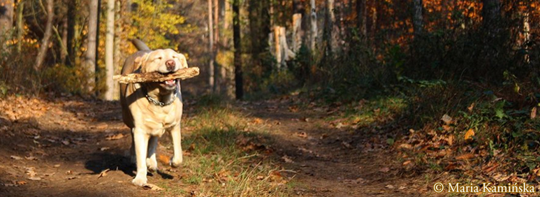 Ahma Eläinklinikan henkilökunta